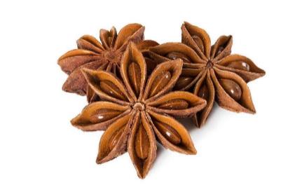 夏季朱顶红养护四个管理要点 朱顶红应该怎么修剪 夏季朱顶红养护四个管理要点 朱顶红应该怎么修剪