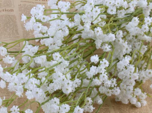 楸树有什么寓意 象征意义有哪些