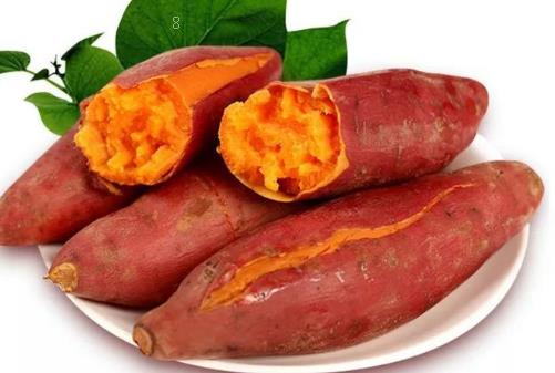 夫妻海棠的种子怎样种 养殖方法简介 夫妻海棠的种子怎样种 养殖方法简介