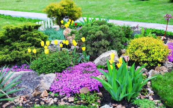 一年生草本花卉有哪些 有哪些是常见的 一年生草本花卉有哪些 有哪些是常见的