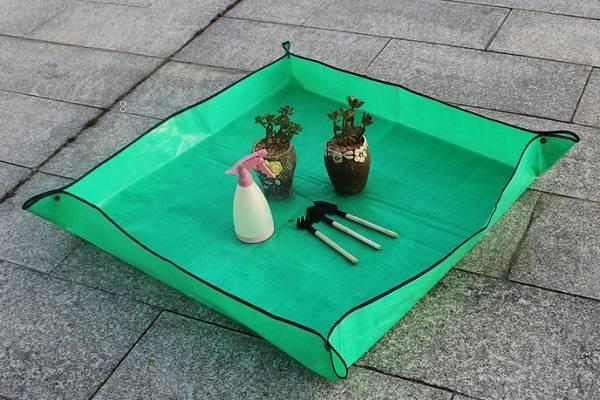 怎样养好多肉植物 哪些因素比较重要