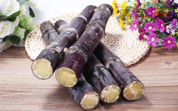 君子兰叶子下垂怎么处理 有哪些解决措施 君子兰叶子下垂怎么处理 有哪些解决措施