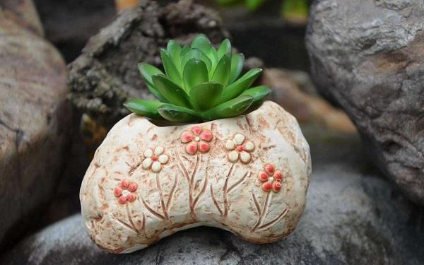 多肉种植用什么土好 可以直接用园土吗