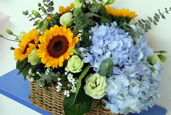 天竺葵什么时候修剪好 长高了怎么修剪