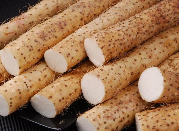 棚栽黄瓜四种主要病虫害是什么 如何进行防治 棚栽黄瓜四种主要病虫害是什么 如何进行防治