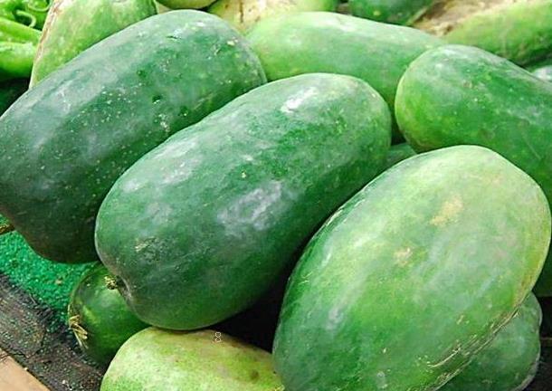 丝瓜蔓枯病的症状是什么 如何进行防治