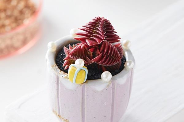 多肉夏天服盆技巧是什么 具体要怎么做 多肉夏天服盆技巧是什么 具体要怎么做