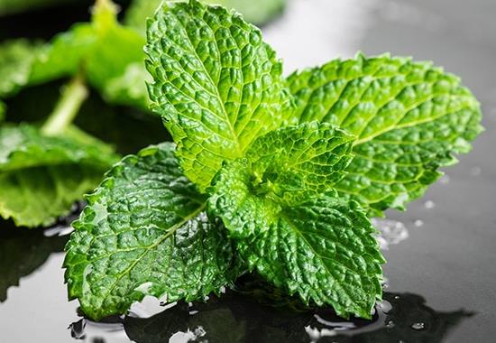 怎么让风雨兰多开花 花后怎么处理 怎么让风雨兰多开花 花后怎么处理