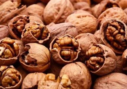 柑橘苗疫病的症状及危害有哪些 柑橘苗疫病如何防治