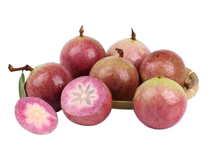 李子树怎么种能壮苗 李子树壮苗栽培管理技术 李子树怎么种能壮苗 李子树壮苗栽培管理技术