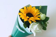 送男生什么花好 哪些花有特别的含义