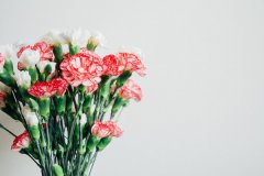 适合送给老师的花是什么 哪些最常见