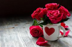 2025表达爱意的花有哪些 花语是什么