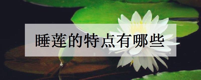 水生植物冬季怎么管理 养护要点有哪些 水生植物冬季怎么管理 养护要点有哪些
