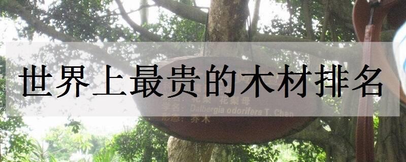 莫斯怎么养能爆缸 如何从一片养到一缸