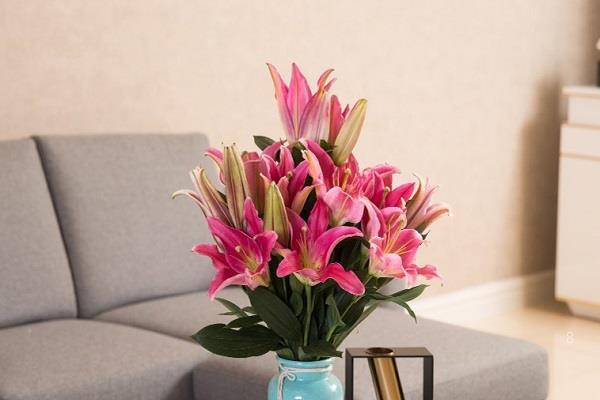 教师节送老师什么鲜花比较好呢 教师节送老师什么鲜花比较好呢