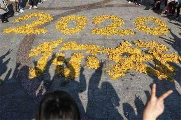 2025年父亲节该送什么花 哪种花最合适 2025年父亲节该送什么花 哪种花最合适