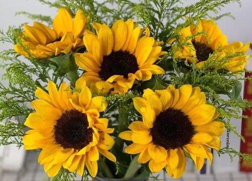 向日葵放家里吉不吉利（向日葵放家里有什么风水禁忌）