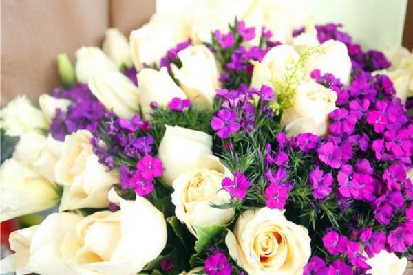 送男生什么花好 哪些花有特别的含义 送男生什么花好 哪些花有特别的含义