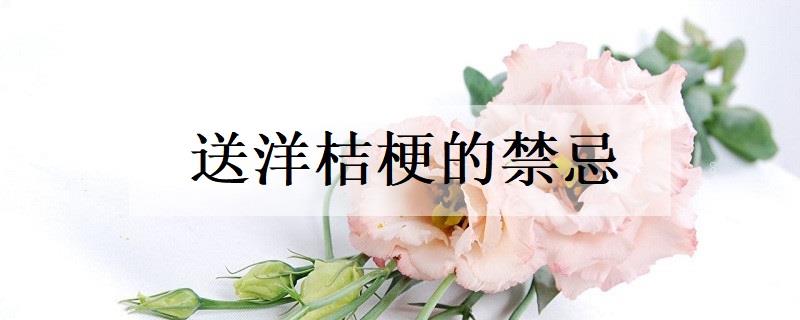 看望病人送什么花好 挑选花卉的禁忌 看望病人送什么花好 挑选花卉的禁忌