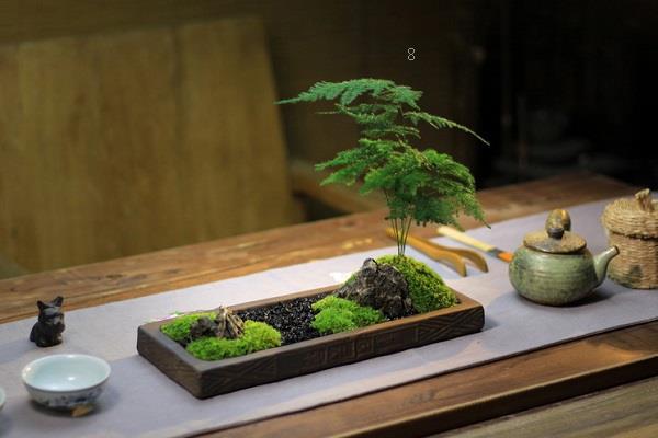 黑枸杞和红枸杞的区别 二者有什么不同 黑枸杞和红枸杞的区别 二者有什么不同