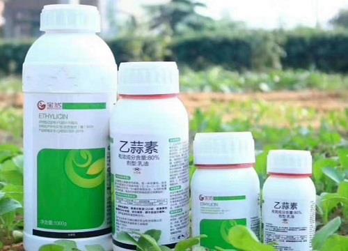 大蒜锈病用什么药效果最好(打药防治黄锈病其实很简单) 大蒜锈病用什么药效果最好(打药防治黄锈病其实很简单)