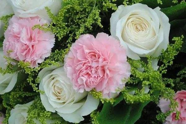 7朵玫瑰花代表什么意思 有哪些美好寓意 7朵玫瑰花代表什么意思 有哪些美好寓意