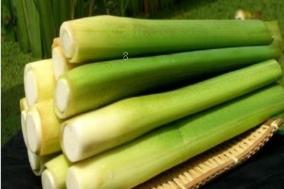 碗莲可以一直水养吗 你不知道的花中君子 碗莲可以一直水养吗 你不知道的花中君子
