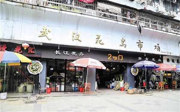 柠檬薄荷养殖方法 怎么样爆盆 柠檬薄荷养殖方法 怎么样爆盆
