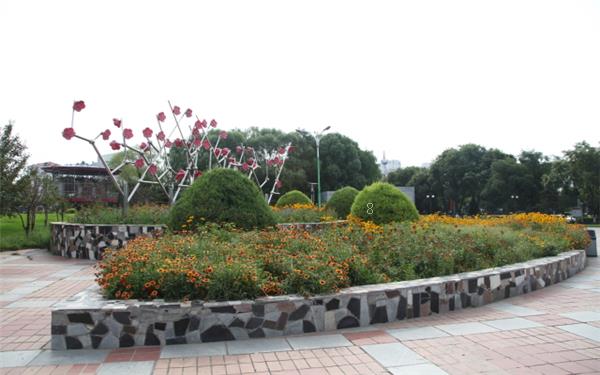 木本植物和草本植物的区别 怎么区分 木本植物和草本植物的区别 怎么区分