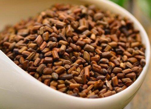 种植中药材哪些药材前景好（分析药材市场效益最好的品种）