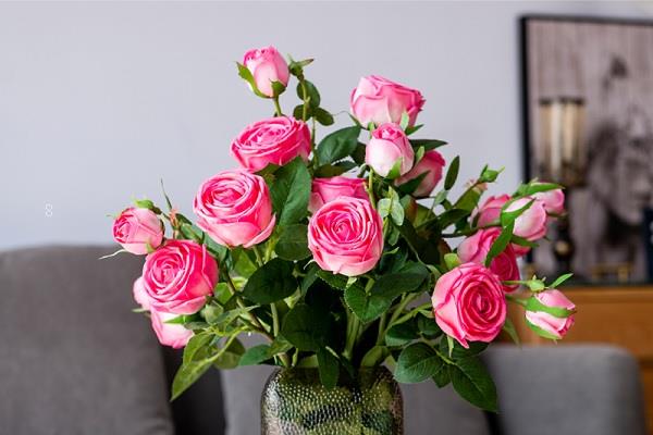 盘点花语比较虐心的花 哪些花凄美悲伤 盘点花语比较虐心的花 哪些花凄美悲伤