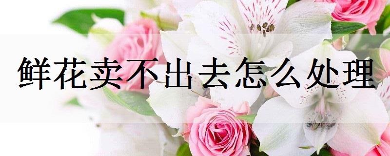 适合送给老师的花是什么 哪些最常见 适合送给老师的花是什么 哪些最常见