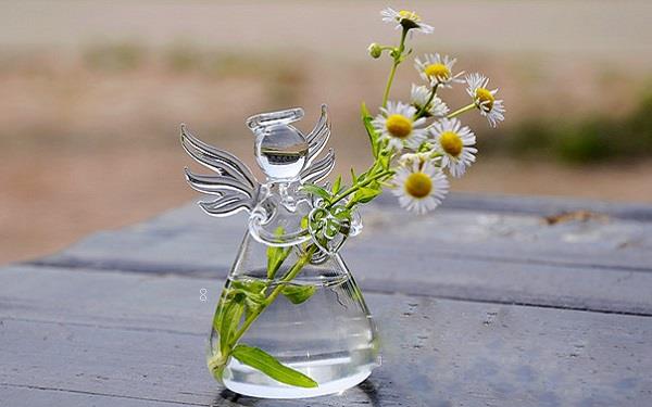 水培植物怎么养 怎么样才能养好