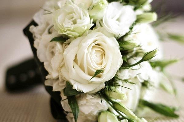 结婚纪念日送老婆什么花好 这四种鲜花寓意好 结婚纪念日送老婆什么花好 这四种鲜花寓意好