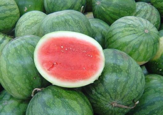 芒果苗用什么肥料长得快 芒果施肥技巧总结