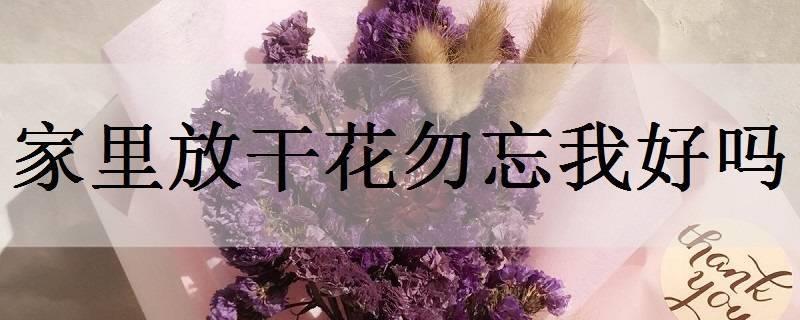 象征老师的花有哪些 有什么好寓意 象征老师的花有哪些 有什么好寓意