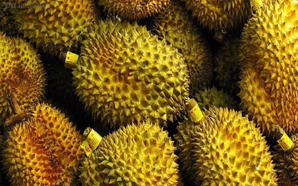 活性炭可以养花吗 活性炭做花土有哪些好处 活性炭可以养花吗 活性炭做花土有哪些好处
