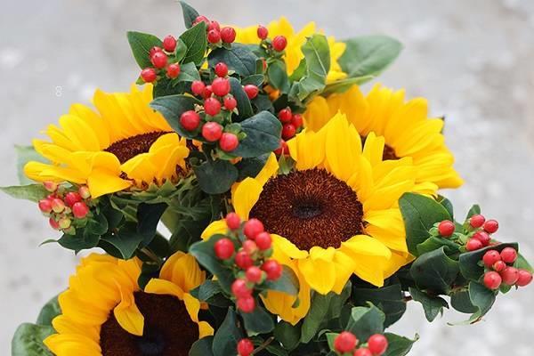 学生送老师什么鲜花比较好 教师节最适合送老师的花 学生送老师什么鲜花比较好 教师节最适合送老师的花