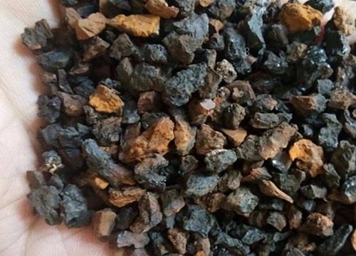 桦树茸生长在哪里（桦树茸的产地是产自什么地方）