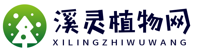 溪灵植物网